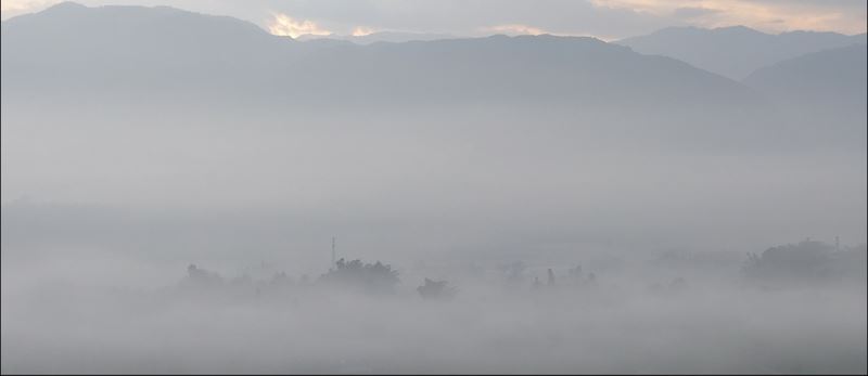 Exploring the Ancient Tea Mountains of Gengma, Unveiling the Secrets of Ancient Tea Trees-2