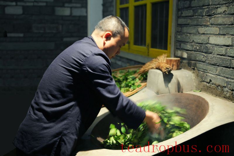 Intangible Cultural Heritage of Humanity: Traditional Chinese Tea Processing Skills - Oolong Tea Chapter — Wuyi Rock Tea (Da Hongpao)-6