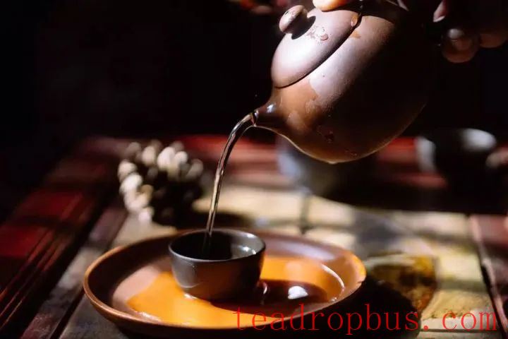 White Tea Speaks: A Love for 
