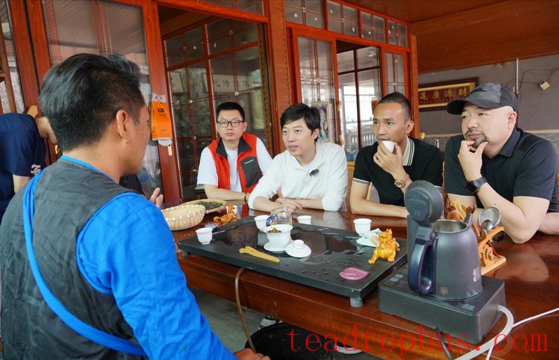 Mengla Tea · Tribute Tea Taste: Follow Influencers on a Tour of Ancient Tea Mountains, Savoring the Flavor of Mengla Tribute Tea-2