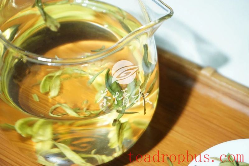 The summer heat is here, have you been drinking tea to dispel dampness?-5