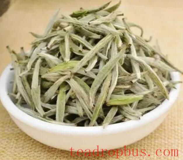 A Complete Guide to Brewing White Tea! No More Worries About Brewing-1