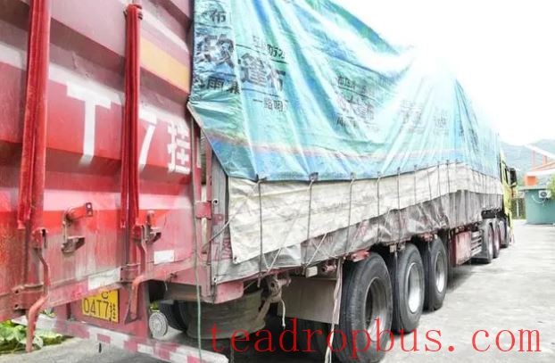 Sinan, Guizhou: First Shipment of 800-Ton Eco-Friendly Tea Order Marks Another Milestone on the Path to Green Development-2