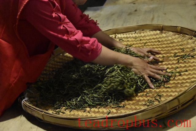 The Production Process of Sun-Dried Green Maocha-3