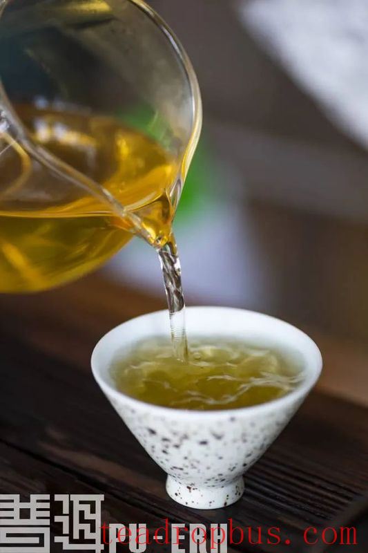 Tips for Identifying Ancient Tree Tea-3