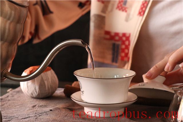Suitable Water Temperature for Brewing Aged Pu'er Tea-1
