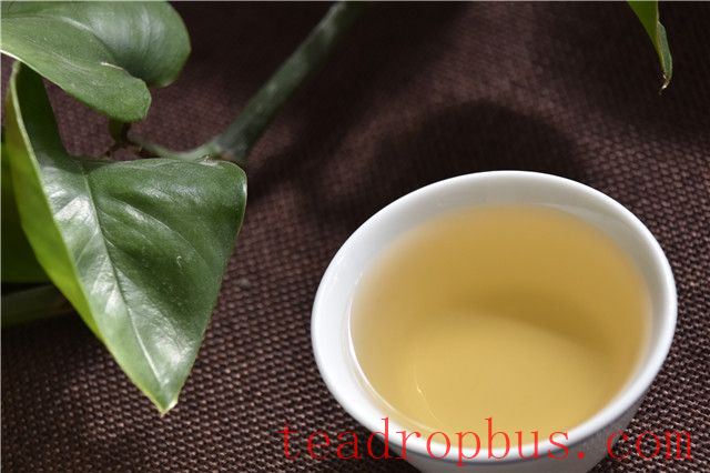 Tea's Melody: Savoring Life in Tranquility and Freedom-1