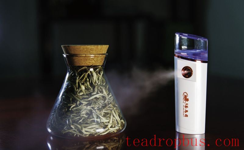 The Allure of Time in Yunnan Large-Leaf White Tea-4
