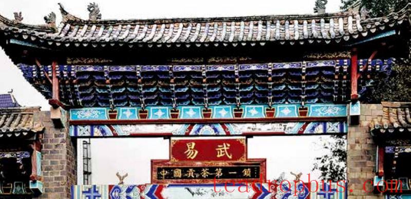 Tea Fragrance from Xishuangbanna: The Famous Pu'er Mountain of Yiwu-6