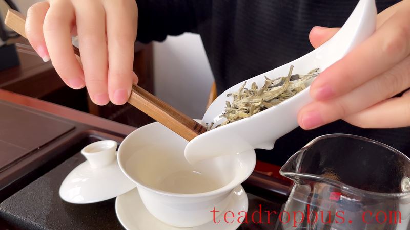 How to Brew Yunnan White Tea, Baihao Yinzhen? Is it Tasty?-6