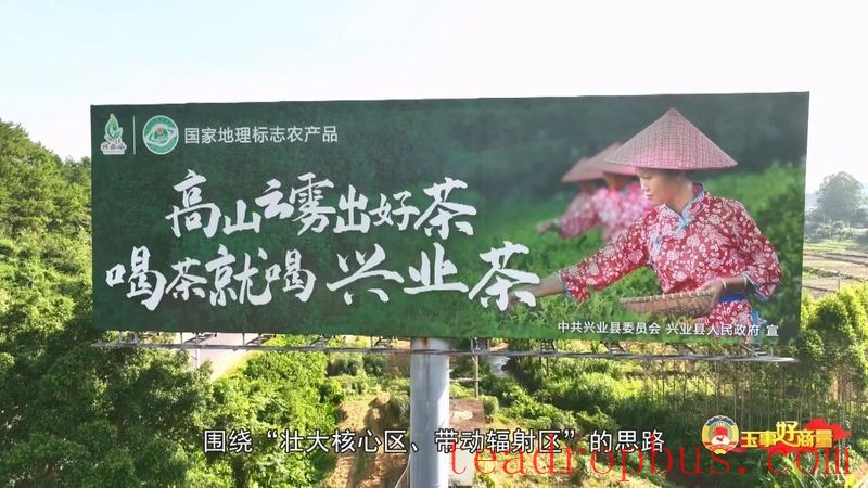 Political Advisory Delegate Suggestions: Build the Yulin Tea Brand and Develop and Expand the Tea Industry-4
