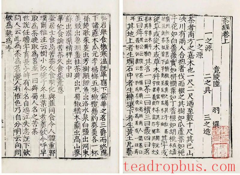 Tracing the Roots of Longjing • Inquiring about Tea at Shifeng: A Leaf from Shifeng Mountain in a Past Life, Bearing Millennia of Affection in a Cup of Tea Today-3