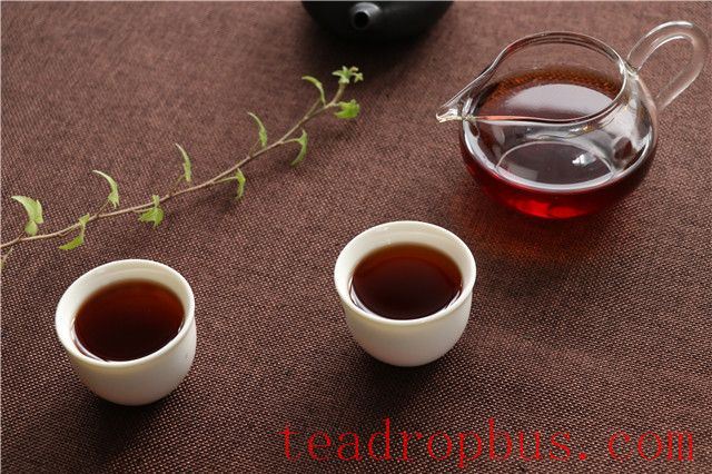 Is it Good for Your Health to Drink Ripe Pu'er Tea Daily?-1