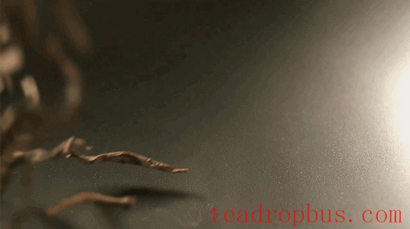 A Taste of Wuyi's Scenery in a Cup of Clear Tea-7