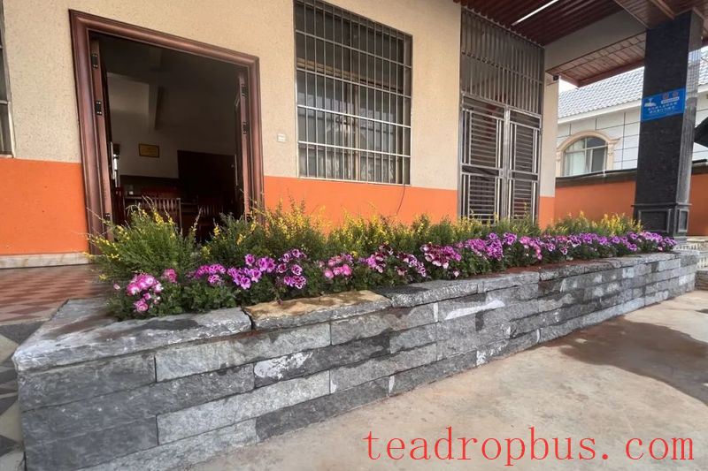 Lao Banzhang: Green Waters and Green Mountains Pave the Path to Happiness; Civilized Tea Village Welcomes a New Life-6