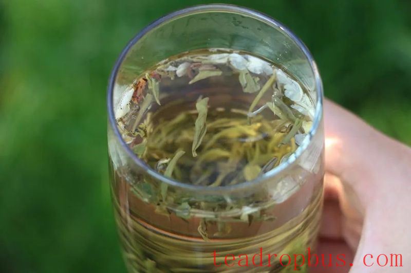 Summer is here, what tea can you drink to beat the heat and dispel dampness?-9