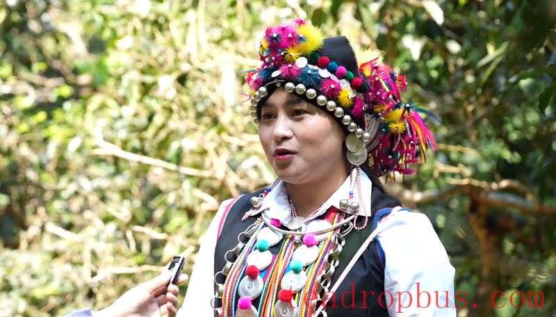 Promoting Rural Revitalization through Tea: The Ancient Tea Mountain of Nanuo Mountain Officially Opens for Spring Harvest-5