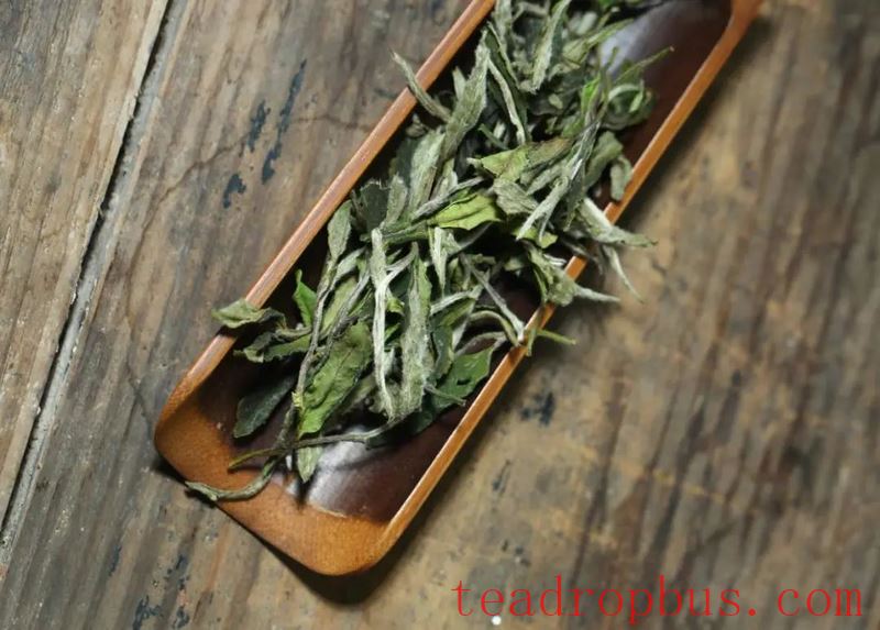 Indulge in White Tea When Summer Starts, and Heat Stroke Will Be the Least of Your Worries!-1
