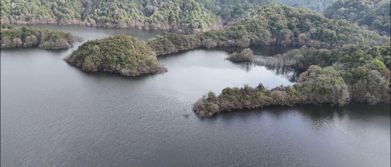 Exploring the Ancient Tea Mountains of Gengma, Unveiling the Secrets of Ancient Tea Trees-1