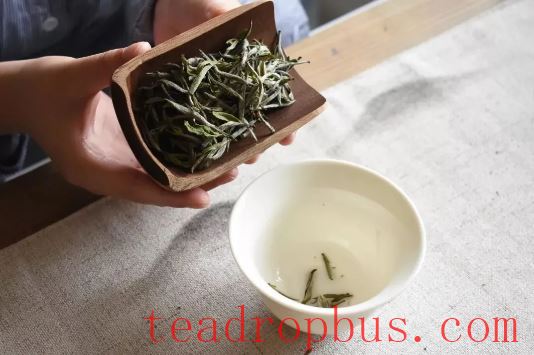 The Mystery of Bai Cha's Durability: Exploring the Secrets of Quality and Brewing-2