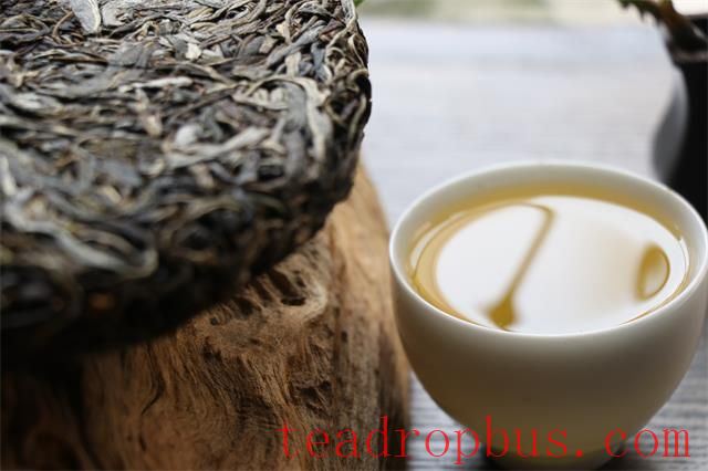 Tasting the Bittersweetness of Life in a Cup of Tea-1