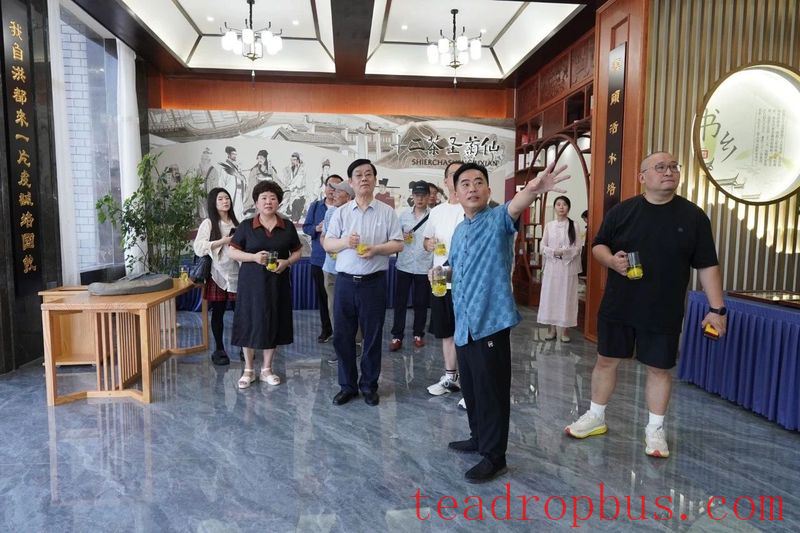 Meeting Over Tea, Plotting Development —— Shanghai Tea Industry Association Delegation Visits Wuyuan to Investigate the Tea Industry-4