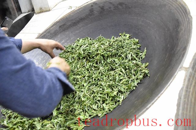Kill-green Process: The Difference Between Heat-based and Steam-based Kill-green Methods-2