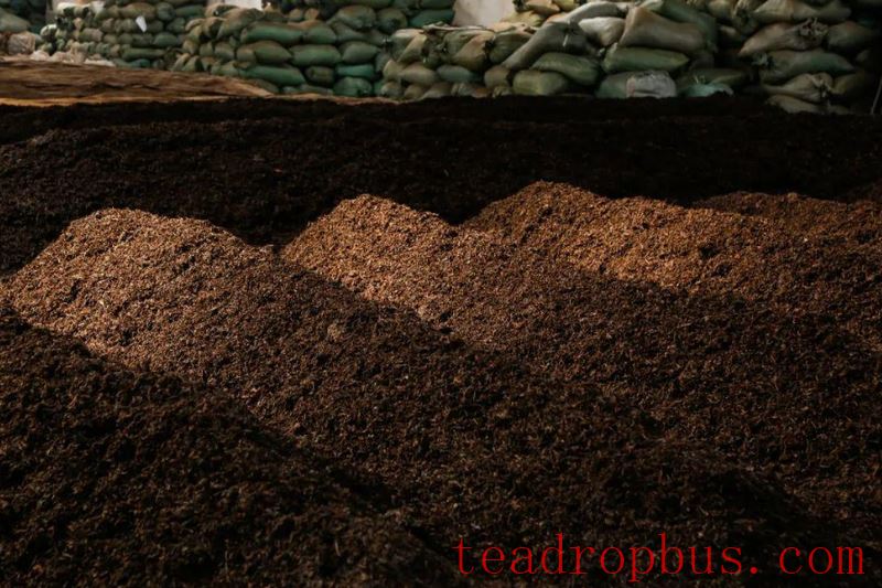 How long does the fermentation time for ripe Pu'er tea last?-1