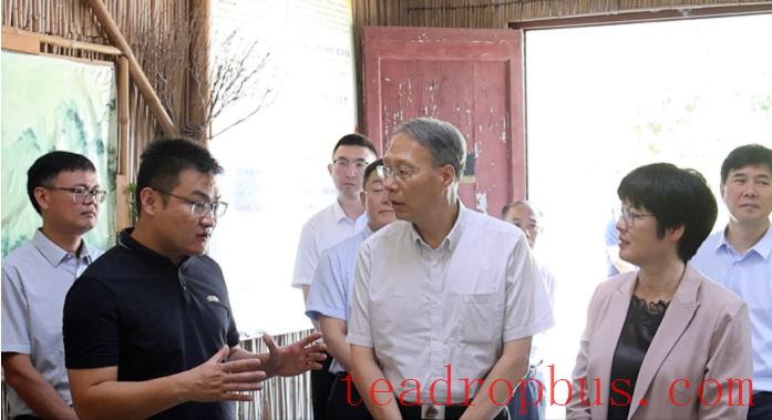 Yin Hao Visits Liubao Town, Cangwu County to Investigate the Liubao Tea Science Popularization Education Base-1