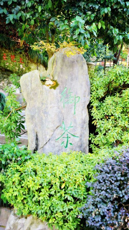 In Search of Longjing • Questioning the Tea of Shifeng: Did Emperor Qianlong Make Four Trips South Just to Find 
