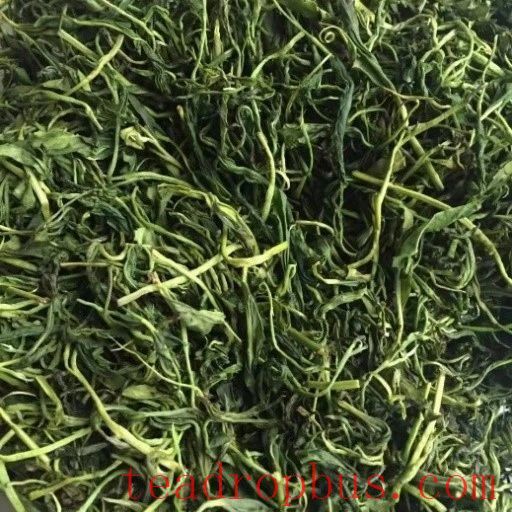 Key Technologies for Processing Sanbei Fragrant Green Tea in Taishun County-4