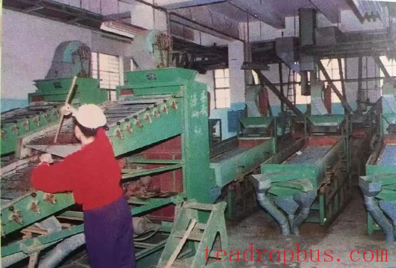 Zhangzhou Tea Factory: A Brand of Memories-1