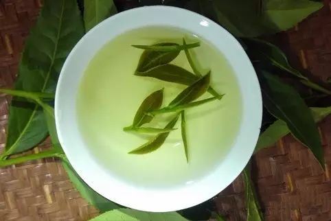The Phenol-Ammonia Ratio in Tieguanyin Tea: How Much Do You Know?-1