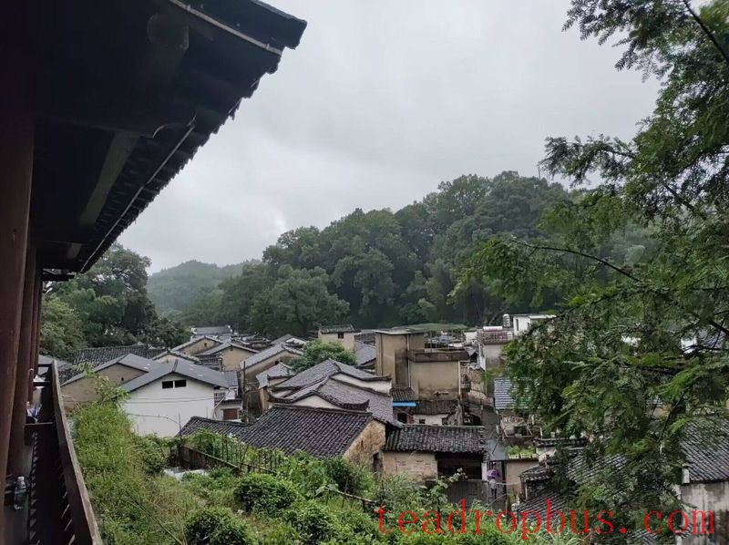 Chayou YanTai: A Hidden Gem for a Thousand Years-3