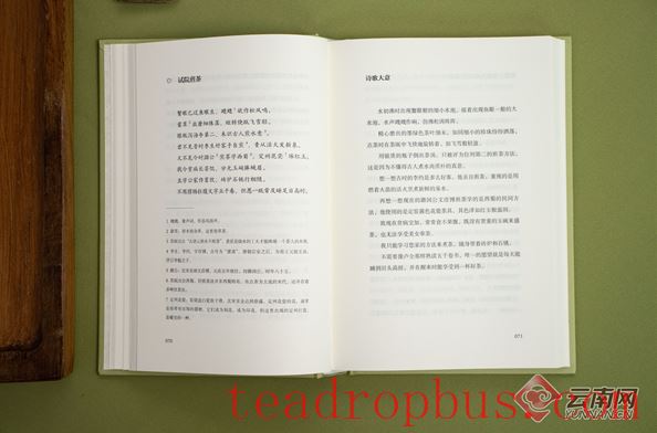 A Taste of Tranquil Delight: Viewing Su Shi Through the Lens of Tea-2
