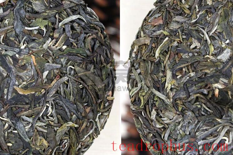 Talking About Xiaohusai, Known as a Rival to Bingdao, and the Contribution of the Lahu People to the Tea Mountain Ecosystem-3