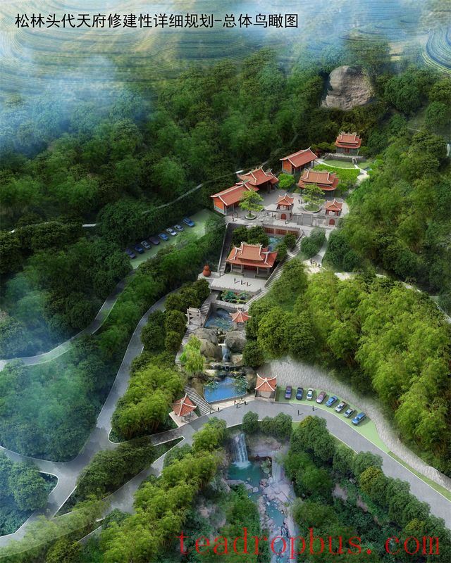 Wei Yin Tea Estate: Zen in the Aroma of Tea-10