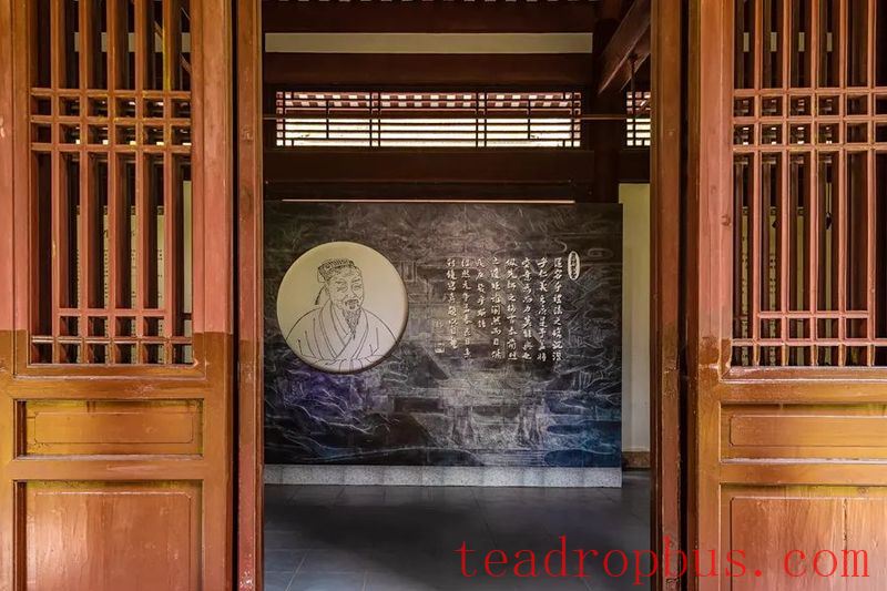 The Sacred Land of Tea: Mount Wuyi-2