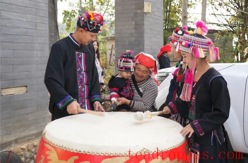 Lao Banzhang: Green Waters and Green Mountains Pave the Path to Happiness; Civilized Tea Village Welcomes a New Life-8