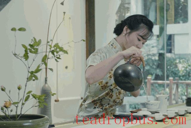A Journey Through Tea Houses Across the East, West, South, and North-2