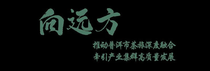 You Natively Born, Self-Directed Toward the Distance — A Series on the Journey of Jingmai Mountain's Bid for World Heritage Status ③-6