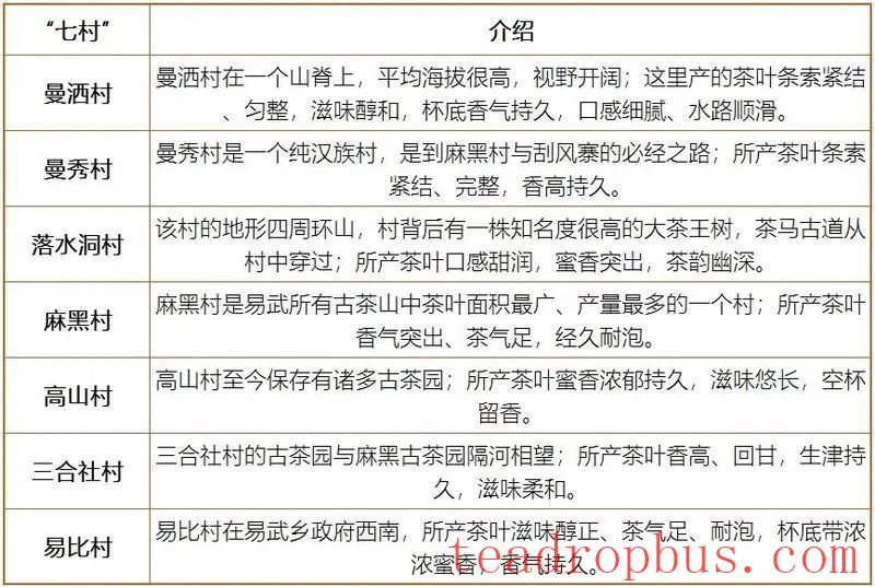 A Brief Discussion on Yiwu: Characteristics of Yiwu Ancient Tree Tea-2