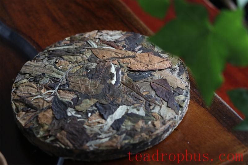 The Journey of White Tea's Essence: Savoring the Unique Charm of Each Infusion-1