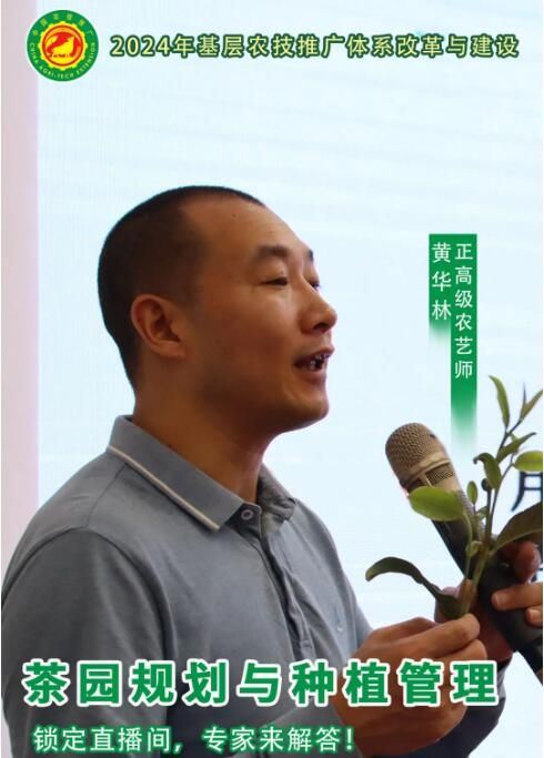 Kaiping Agricultural Skills Lecture —— Tea Garden Planning and Planting Management-1