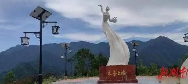 Tea at Xikou-2