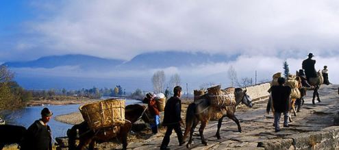 A French Journalist Visits Yunnan's Millennia-Old Tea Horse Road-5