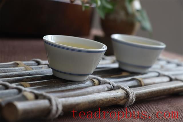 Gentle Summer Breezes and the Fragrant Tea, Savoring Life's Elegance-1