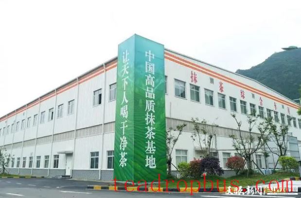 Selling at Higher Prices and Expanding into Better Markets! “Clean Guizhou Tea” Aims for the International Market-2