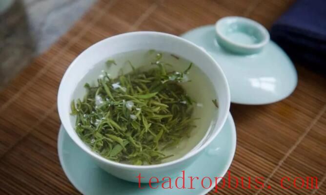 How is Xinyang Maojian?-1