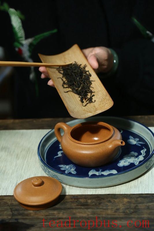 What's the Difference Between a Novice and an Experienced Player in Enjoying Purple Clay Teapots?-3